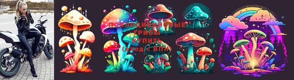 spice Гусев