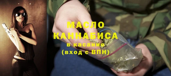 spice Гусев