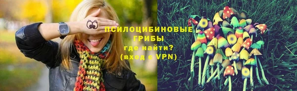 jwh Гусь-Хрустальный